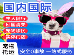 右旗巴丹吉林国际宠物托运 【国